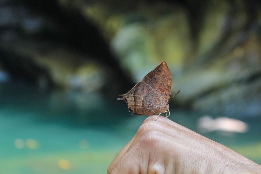 Puc-01 : Discover the Beauty of Padre Abad’s Waterfalls