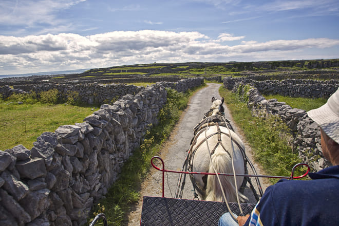 Return ferry ticket from Rossaveal to Inishmore, Aran Island. Self guided. 40 minutes. 3
