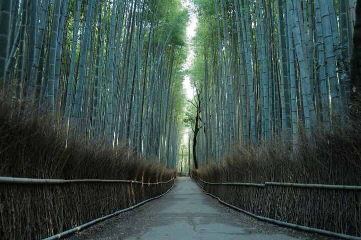 Kyoto Early Bird Tour Tokyo Round or One Way Shinkansen  10