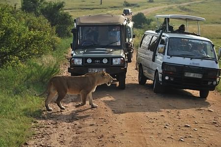 Nairobi National Park Wildlife Safari Tour with Airport Pickup