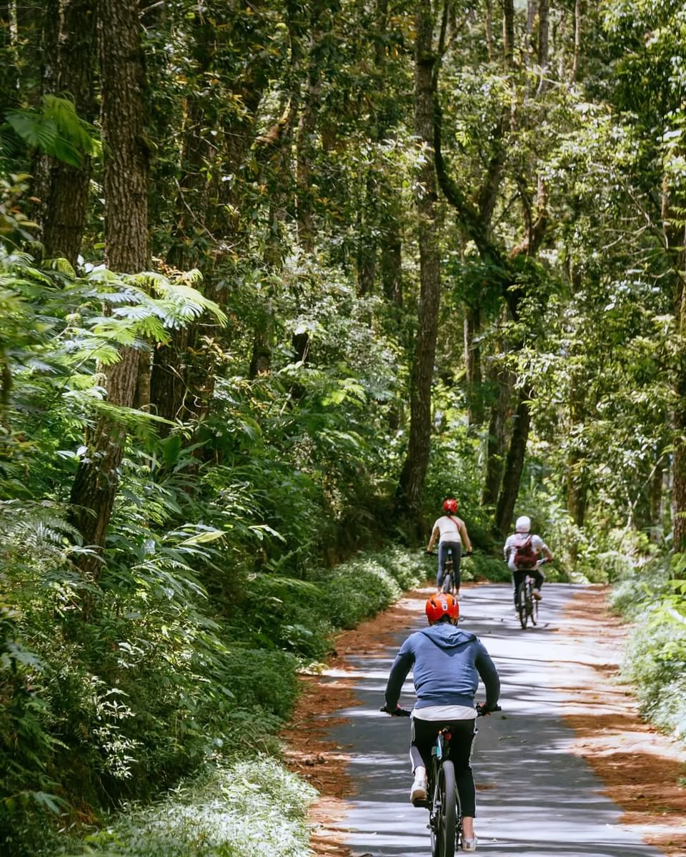 BALI X SURABAYA – BAJO 14D13N