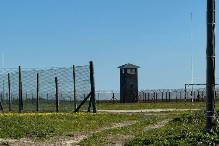 Robben Island Half Day Tour with Pre-Booked Ticket from Cape Town