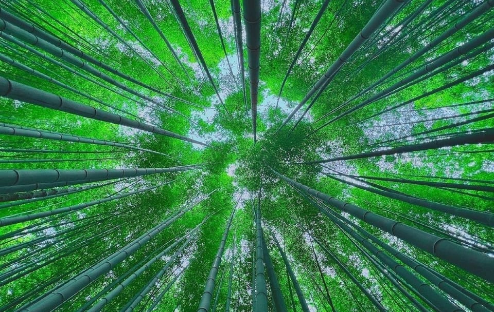 Private Busan Tour to Haedong Yonggungsa Temple and Hidden Gems