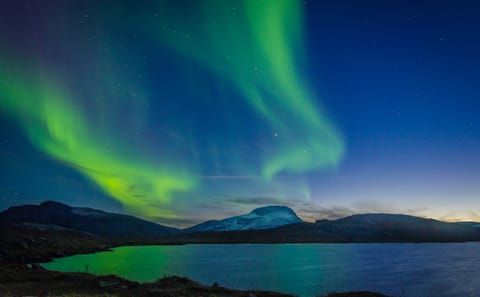 Northern Lights Yacht Cruise Experience in Reykjavík