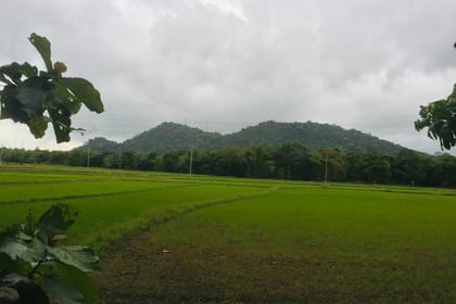 WAYAMBA TRIANGLE TOUR FROM KANDY