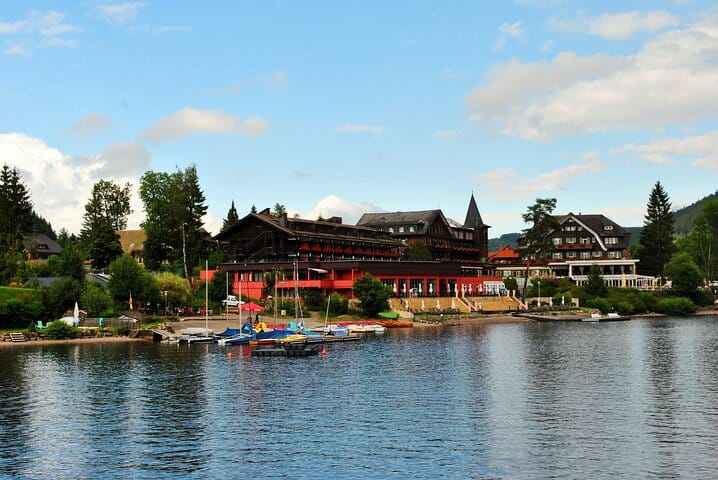 Full-Day Private Tour from Zurich to Lake Titisee Black Forest 9
