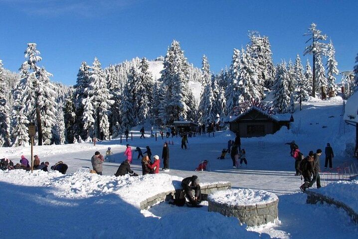 Private Tour of Capilano Suspension Bridge & Grouse Mountain.