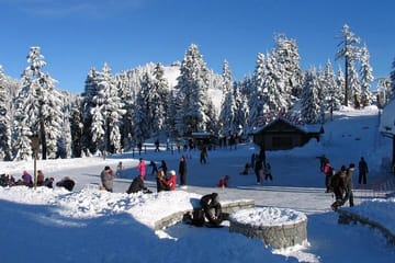 Private Tour of Capilano Suspension Bridge & Grouse Mountain.