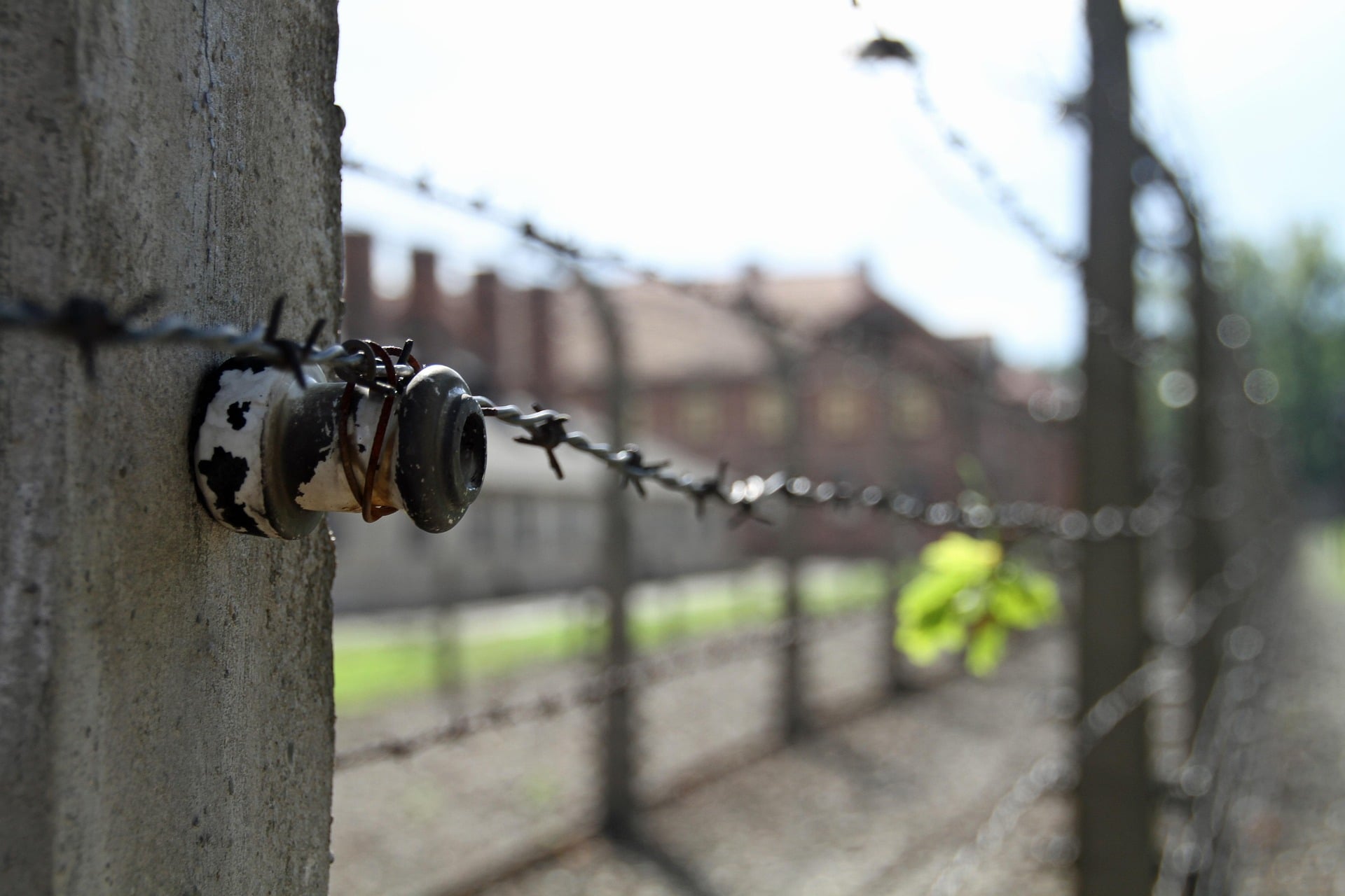 Barbed wire fence at the Auschwitz-Birkenau Memorial with camp buildings in the background