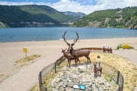 San Martin de los Andes and the Seven Lakes Day Trip from Bariloche 9