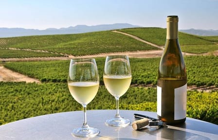 Private Enchanted Napa and Sonoma Wine Tour in SUV from SFO