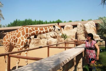 Interact with Wildlife at Emirates Park Zoo in Abu Dhabi