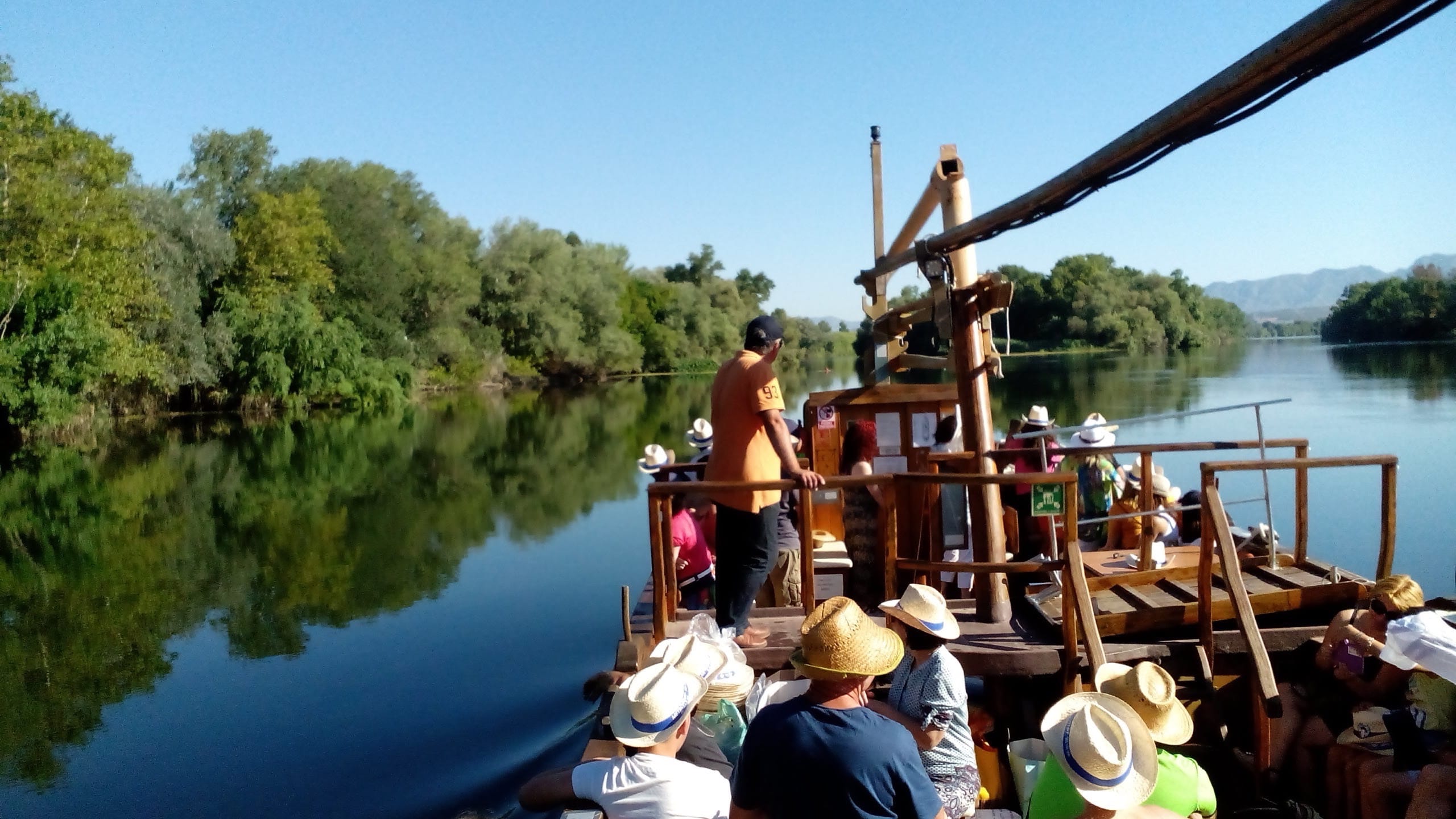 Bosque de ribera el río Ebro alrededor de Tortosa