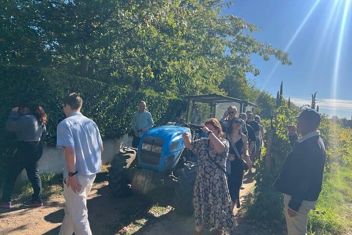 Franschhoek Wine Tram and Wine Tasting Tour with Tram Ticket