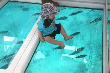 Private Glass Bottom Boat Tour in Hurghada, Egypt