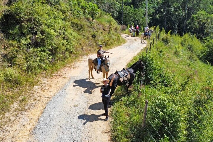 Horseback riding in the Atlantic forest BY PARATY TOURS 6