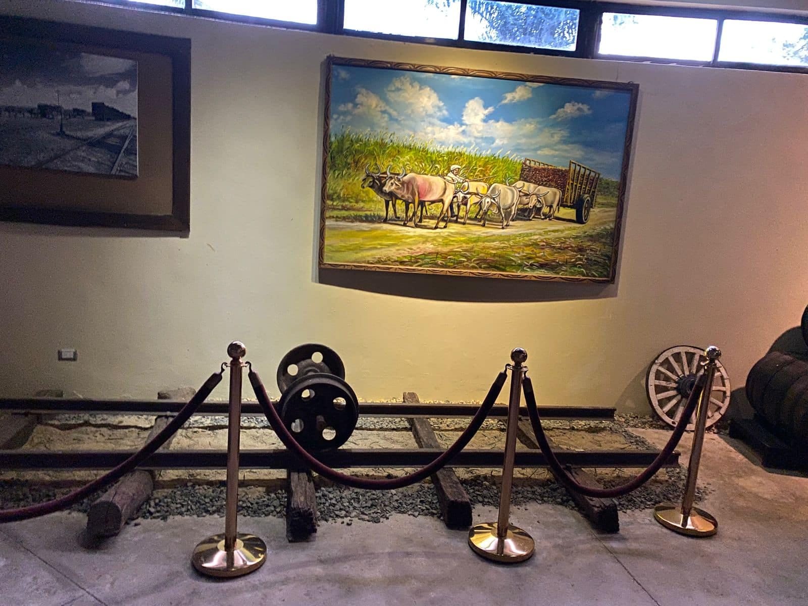 Museum area with historical elements related to sugar cane in the Ron Barceló Historical Center.