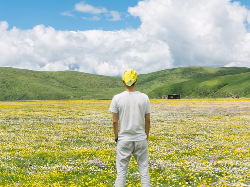 Emutang Flower Meadow: 2-Day Private Tour to China's Finest Grassland Wildflowers