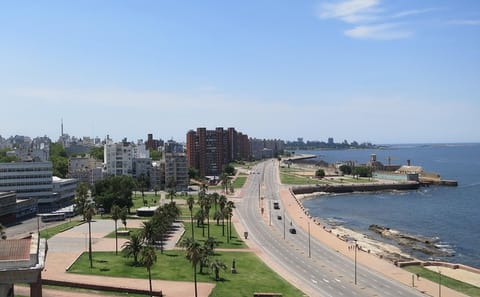 Montevideo Day Trip from Buenos Aires with Lunch Included