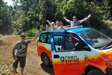 Guided 4-Hour Madeira Highlights Tour from Funchal