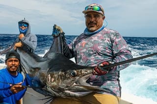 Private Cabo Full-Day Sportfishing: Hunt for Marlin, Tuna, Dorado