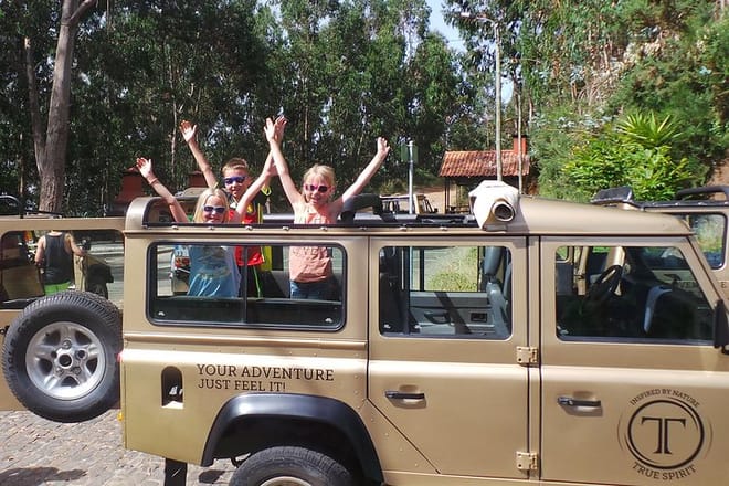 Private VIP Half-Day 4X4 Tour: East or West