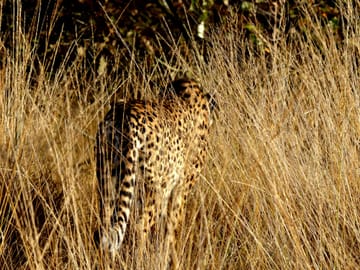 6 Day Tanzania Big Five safari