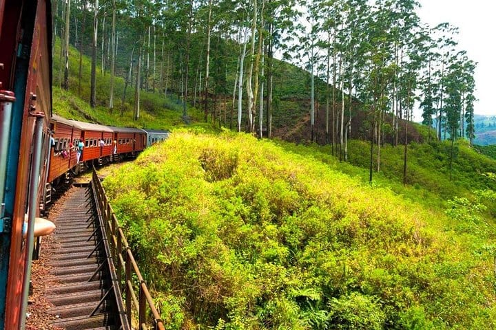4 Days Tour to Kandy, Sigiriya & Nuwara Eliya