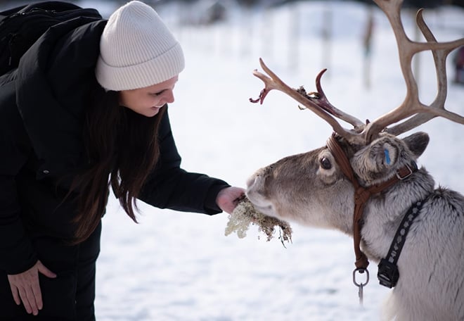 Ranch visit - Transfers from Ylläsjärvi Included