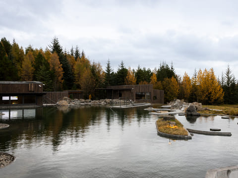 Ösp - Dedicated wellness experience, photo 5