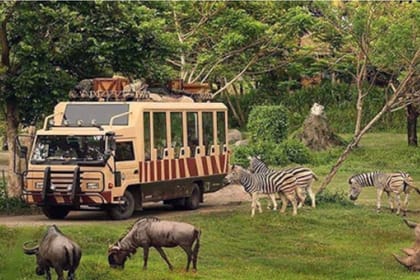 Dubai Safari Park Tour with Private Roundtrip Transfers