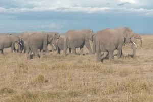 7 days safari Kenya Discovery