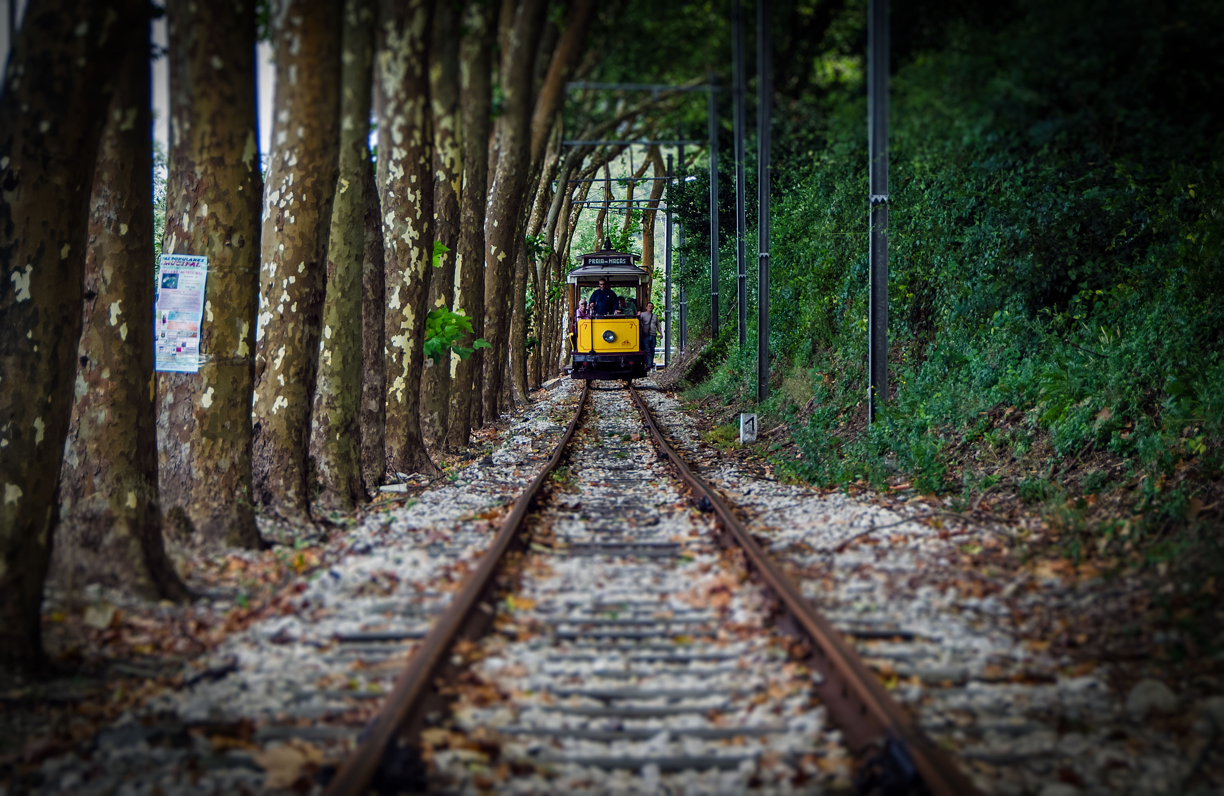 Sintra & Cascais (group tour)