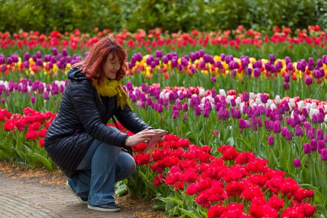 Delft and Keukenhof Gardens Tour from Brussels  6