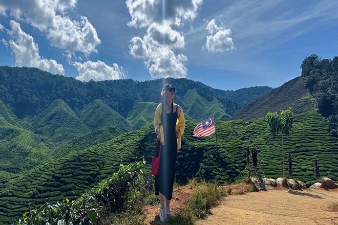 Cameron Highlands with Lunch Guided Day Tour (SIC/Shared Tour) 6