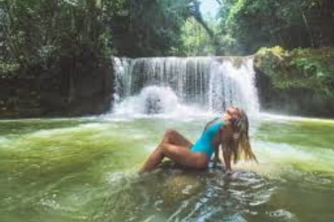 Black River Safari Guided Tour & YS Falls Tour  4