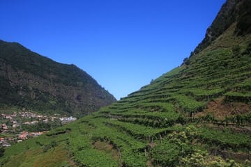 ATV Tour and Wine Tasting in Madeira's Scenic Landscapes