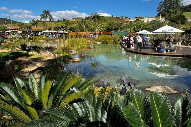 Art Of Wine – Travel Through The So-Called Wine Route Visiting Various Wineries 3