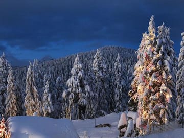 Grouse mountain Christmas