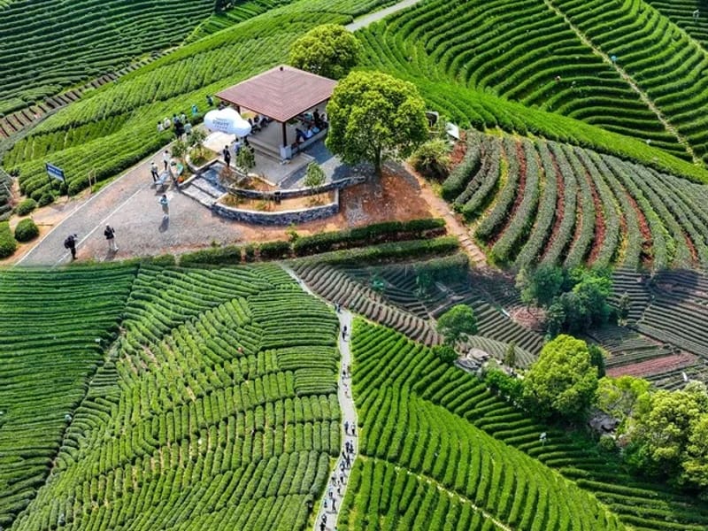 Shenzhen: Huizhou Xiantaigang Beaches Private Trip