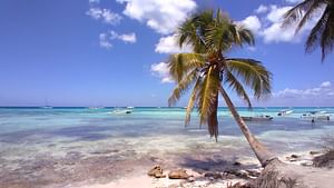Saona Island Deluxe with Private Transfer (Min 8 People)