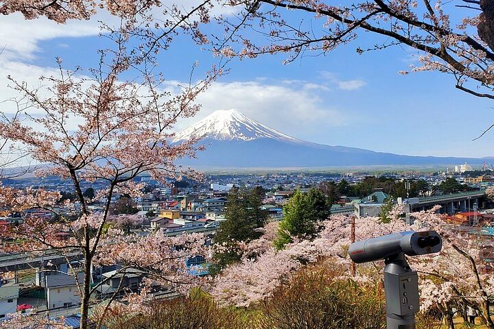 3 Days Private Tour Tokyo, Mt. Fuji and Hakone