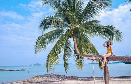 Private Speedboat Tour to Koh Madsum and Koh Tan Islands