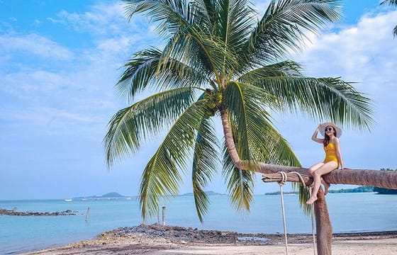 Private SpeedBoat Tour to Koh Madsum and Koh Tan