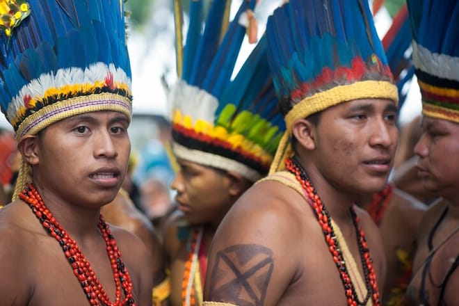 Indigenous Guarani Village & Atlantic Forest — Private Day Trip 7