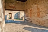  Visit Herculaneum with an expert professional guide (2/3 hours) 10