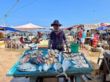 The Negombo Kitchen: Traditional Cooking & Local Market Walk