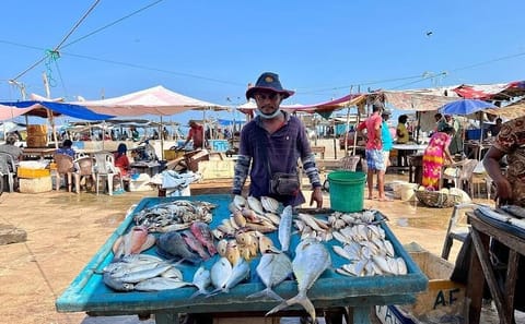 Culinary Experience and Market Tour in Negombo, Sri Lanka