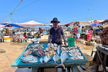 Culinary Experience and Market Tour in Negombo, Sri Lanka
