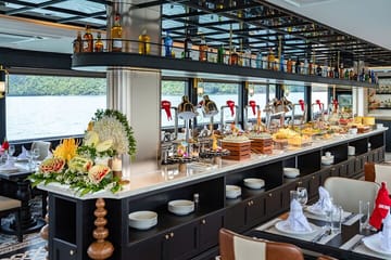 Cozy Bay Halong Day Trip, 5 Star Cruise with Buffet Lunch